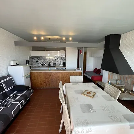 Saint-cyprien : T2 Confortable En Bord De Avec Parking Et Animaux Admis - Fr-1-106-106 Saint-Cyprien (Pyrenees-Orientales)