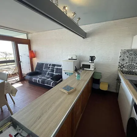 Apartment Saint-cyprien : T2 Confortable En Bord De Avec Parking Et Animaux Admis - Fr-1-106-106