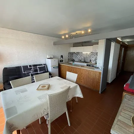 Saint-cyprien : T2 Confortable En Bord De Avec Parking Et Animaux Admis - Fr-1-106-106 Apartment Saint-Cyprien (Pyrenees-Orientales)