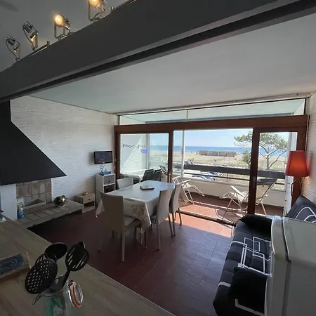 Apartment Saint-cyprien : T2 Confortable En Bord De Avec Parking Et Animaux Admis - Fr-1-106-106 Saint-Cyprien (Pyrenees-Orientales)