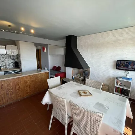 Saint-cyprien : T2 Confortable En Bord De Avec Parking Et Animaux Admis - Fr-1-106-106 Saint-Cyprien (Pyrenees-Orientales)