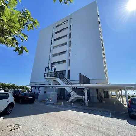 Apartment Saint-cyprien : T2 Confortable En Bord De Avec Parking Et Animaux Admis - Fr-1-106-106 *