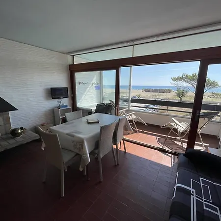 Saint-cyprien : T2 Confortable En Bord De Avec Parking Et Animaux Admis - Fr-1-106-106 Apartment Saint-Cyprien (Pyrenees-Orientales)
