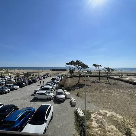Saint-cyprien : T2 Confortable En Bord De Avec Parking Et Animaux Admis - Fr-1-106-106 Apartment Saint-Cyprien (Pyrenees-Orientales)