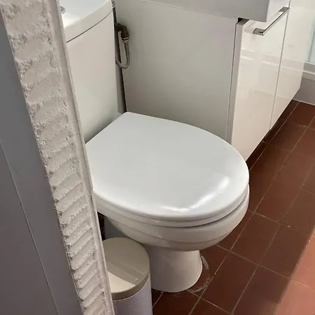 Apartment Saint-cyprien : T2 Confortable En Bord De Avec Parking Et Animaux Admis - Fr-1-106-106 Saint-Cyprien (Pyrenees-Orientales)