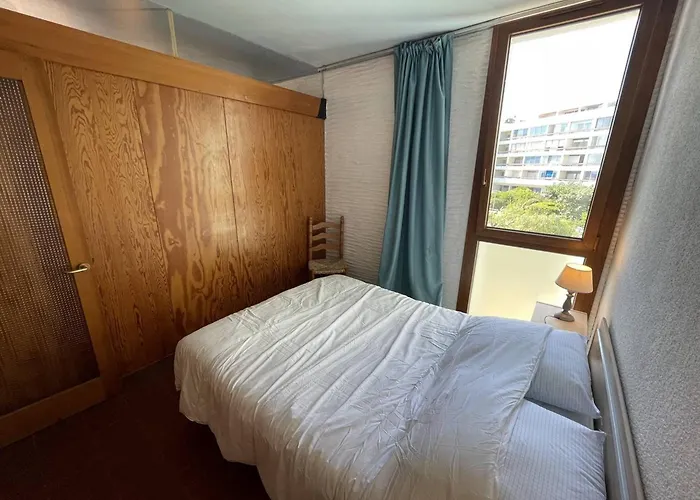 Saint-cyprien : T2 Confortable En Bord De Avec Parking Et Animaux Admis - Fr-1-106-106 圣西普里安
