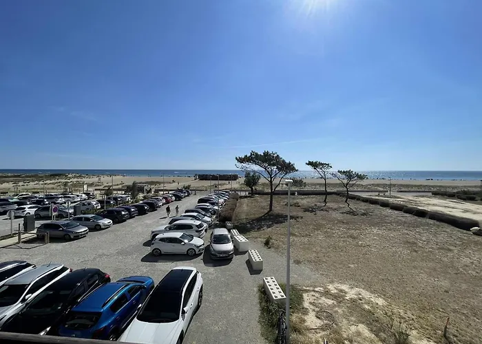 Saint-cyprien : T2 Confortable En Bord De Avec Parking Et Animaux Admis - Fr-1-106-106 Apartment Saint-Cyprien (Pyrenees-Orientales)
