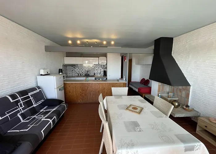 Saint-cyprien : T2 Confortable En Bord De Avec Parking Et Animaux Admis - Fr-1-106-106 Saint-Cyprien (Pyrenees-Orientales)