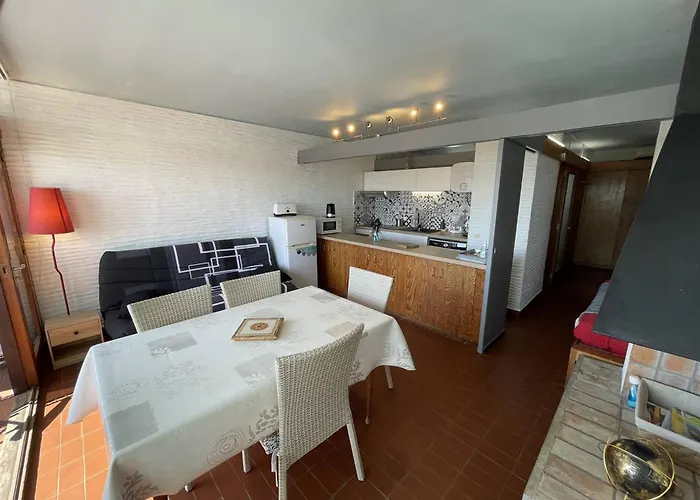 Saint-cyprien : T2 Confortable En Bord De Avec Parking Et Animaux Admis - Fr-1-106-106 Apartment Saint-Cyprien (Pyrenees-Orientales)