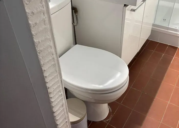 Apartment Saint-cyprien : T2 Confortable En Bord De Avec Parking Et Animaux Admis - Fr-1-106-106 Saint-Cyprien (Pyrenees-Orientales)